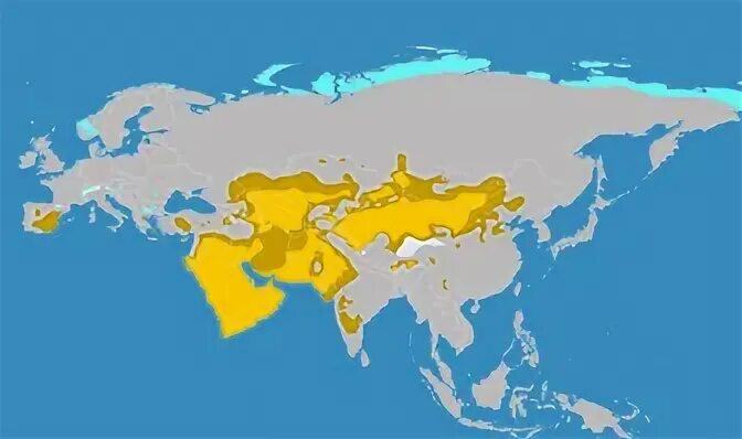 Карта пустынь Евразии. Самые крупные пустыни Евразии. Пустыня на карте Евразии. Пустыни евразии на карте