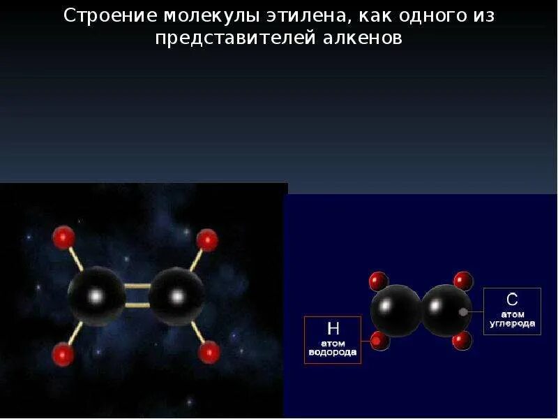 Состоят из атомов углерода и водорода. Формула молекулы алкенов. Типы связей между атомами углерода алкенов. Атомная модель алкенов. Алкены общая формула строение молекулы.