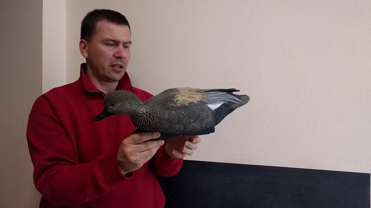 Утиные разбор