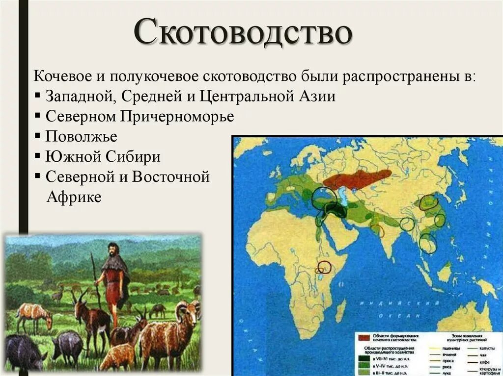 Какие направления имеет скотоводство 3. Районы кочевого скотоводства. Кочевое животноводство. Виды кочевого скотоводства. Кочовоп скоттводства на карте.