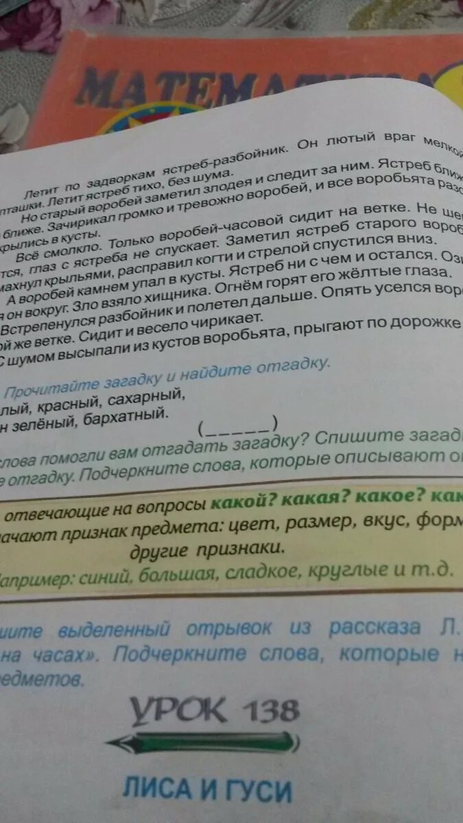 Прочитайте спишите загадку подчеркните. Прочитай слова найди отгадки. прочитайте загадку запишите отгадку с бородой. отгадай загадку спиши загадку напиши отгадку подчеркни. спиши загадку подчеркни отгадку напиши отгадку.