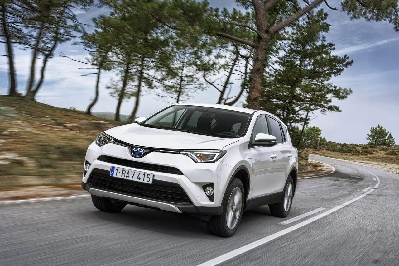 Toyota rav4 2013 2019