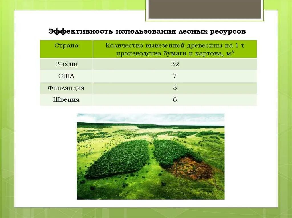 Картинки ПОЛЬЗОВАНИЕ ЛЕСНЫМИ РЕСУРСАМИ