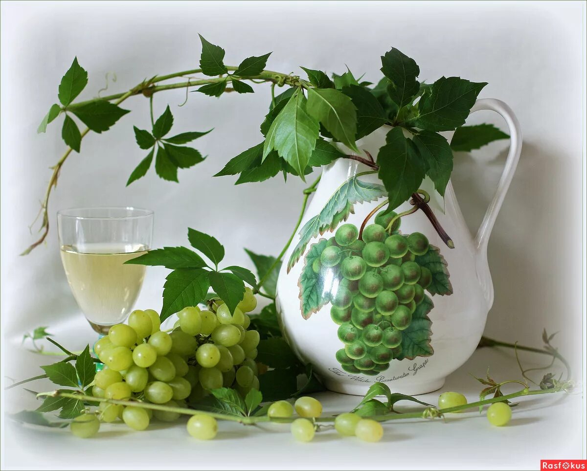 виноград в бокале. вино виноградники. виноделие франции презентация. виноградное вино с настоями из трав кроссворд. этикетка вино виноградное изабелла.