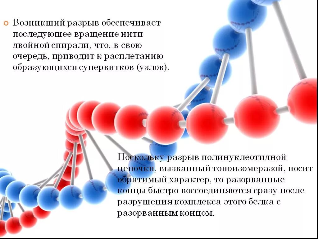 Расплетание цепей днк. Водородные связи в молекуле ДНК. ДНК проект. Разрыв водородных связей в двойной спирали ДНК. Фосфодиэфирные и водородные связи в ДНК.