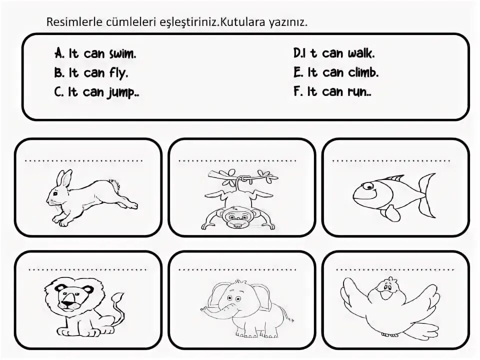 Flies can t swim. Задания на тему animals can. I can задания. Упражнения на can animals. Can задания для детей.