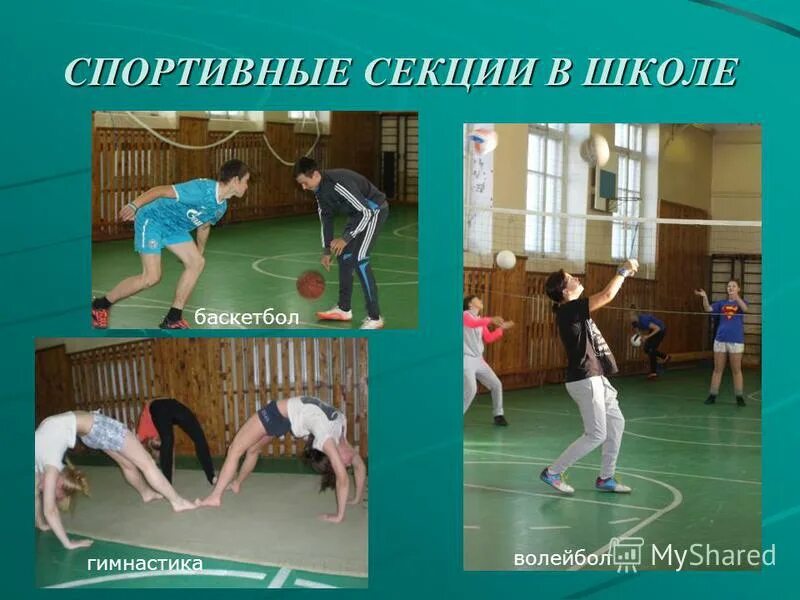 Футболика клуб в екатеринбурге. Академика капицы улица 14 школа. Дворец игровых видов спорта иваново. Школьные секции работа. Школьные секции работа.