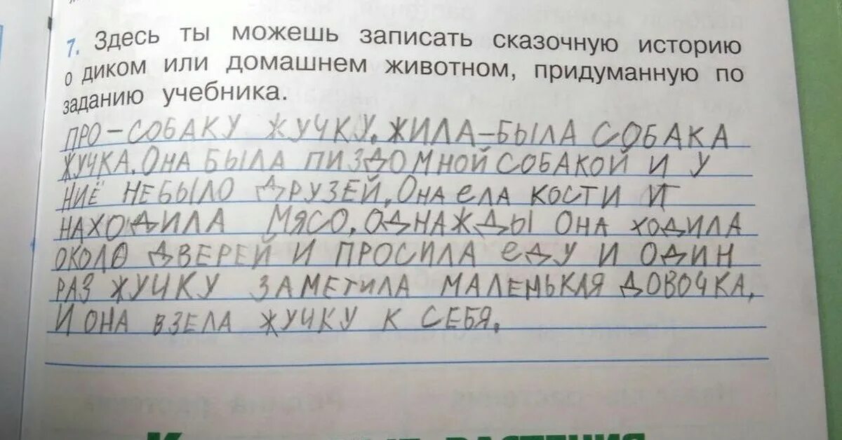 Смешная история 6 класс. Сказочная история о домашнем животном. Сказочная история о домашнем животном 2 класс. Придумать рассказ. Придумай сказочную историю.