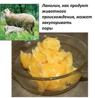Воск из шерсти овец
