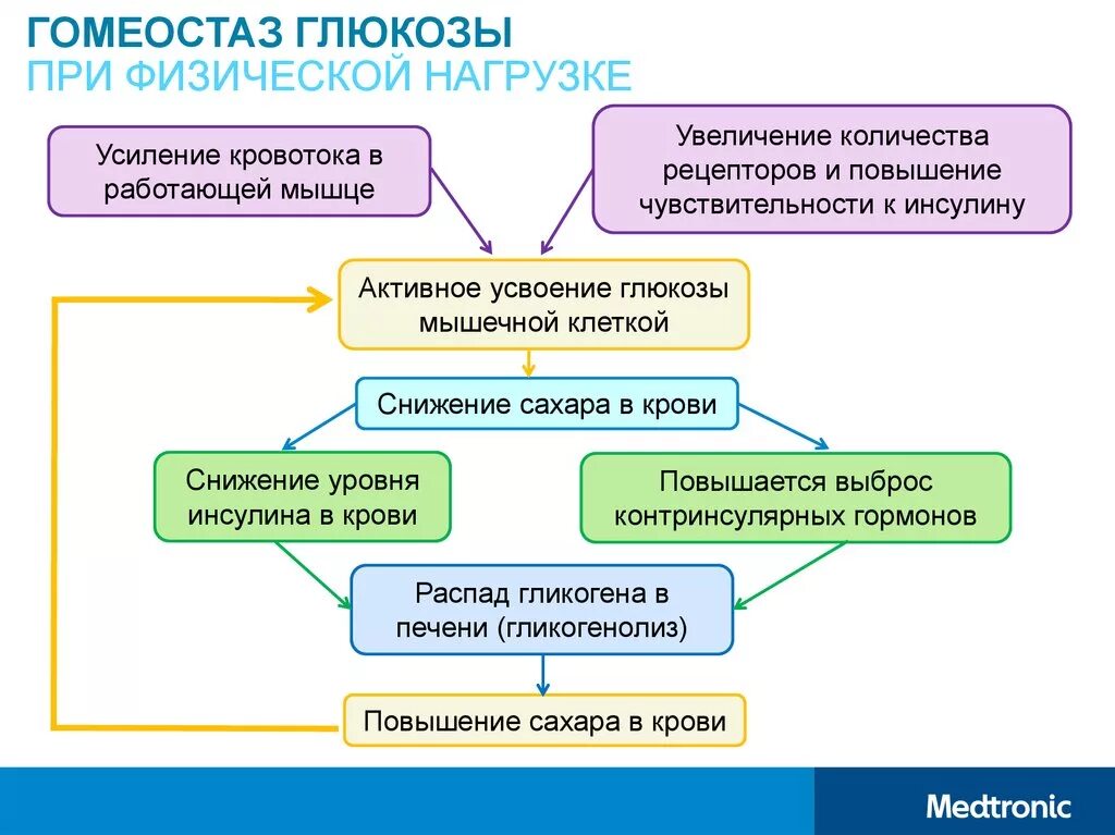 Основные источники глюкозы в крови. Источники глюкозы в крови. Обеспечивает усвоение глюкозы. Обеспечивает усвоение глюкозы. Обеспечивает усвоение глюкозы.