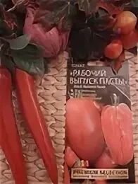 Рабочий выпуск пасты