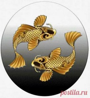 Золотая рыбка 2