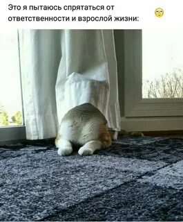 Кто хорошо прячется