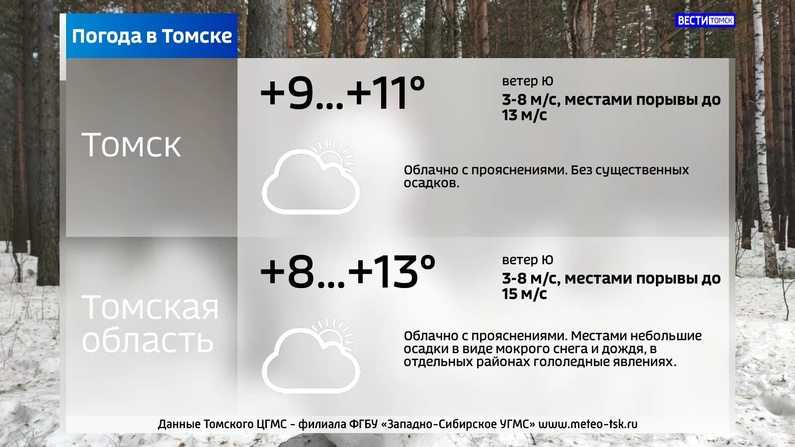 Погода в Томске. Погода Томск 11. Томск климат. Погода в Томске сегодня.