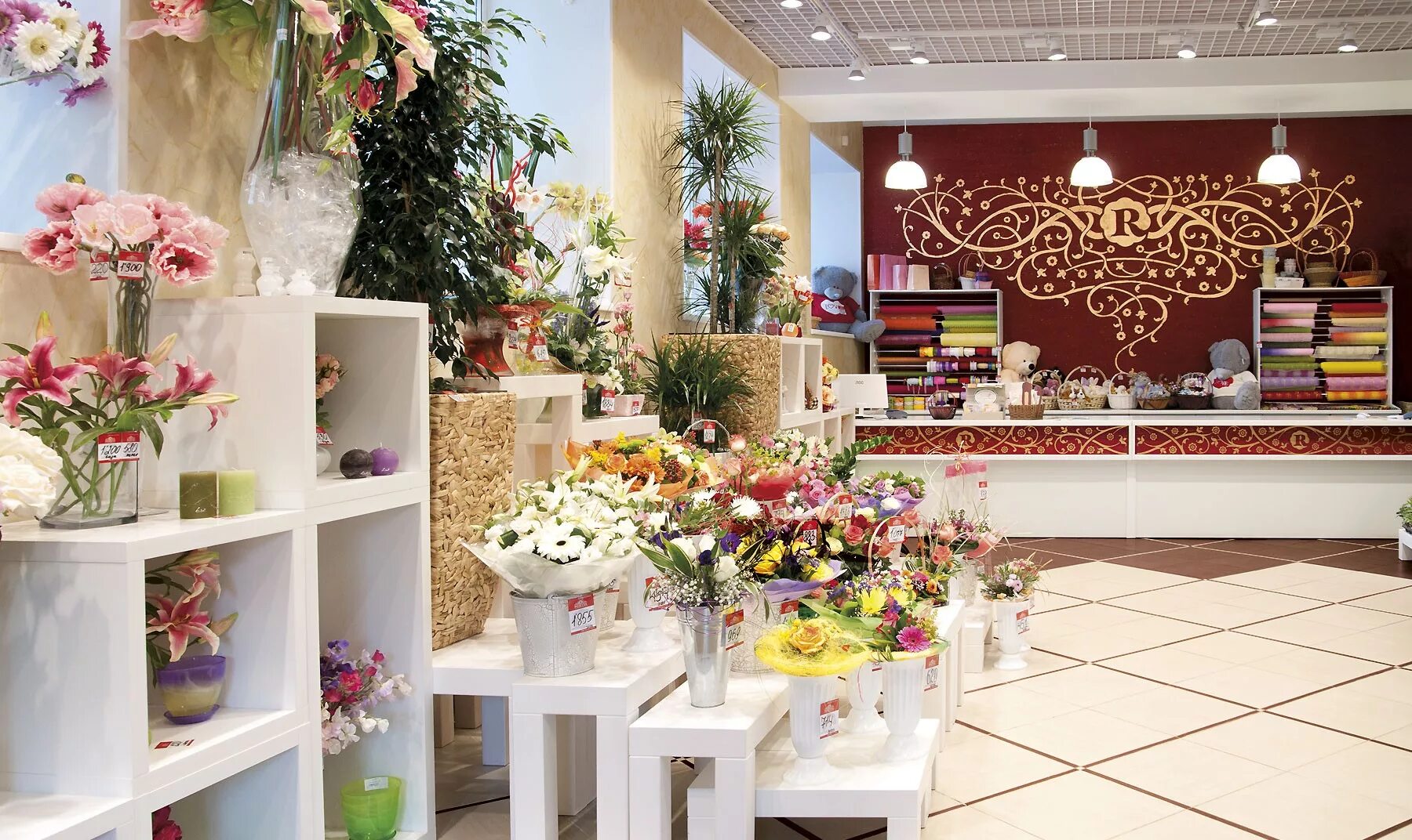 Розетта кемерово. Розетта кемерово. Розетта кемерово интерьер. Розетта крем. Веер "букет".