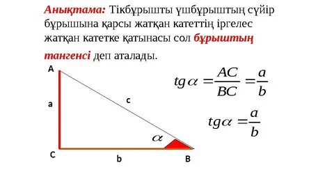 Үшбұрыш сияқты киска