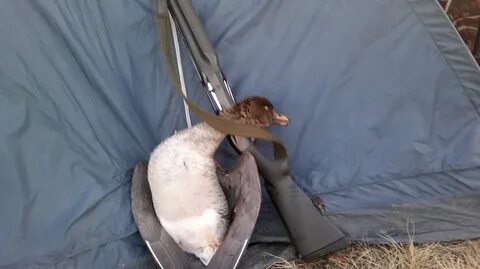 Дробь на гуся