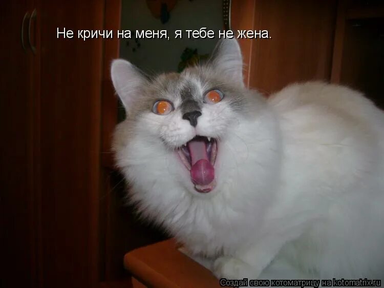 ничего не кричи