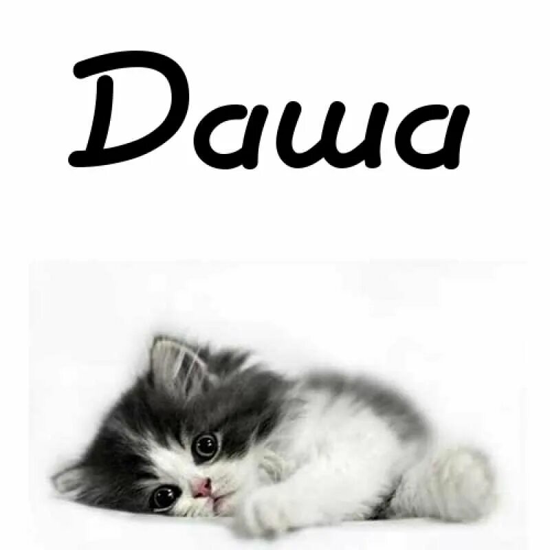 даша путешественница на белом фоне. покажи дашку. даша мем. даша молодец. имя даша.