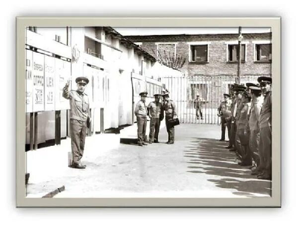 Фку ик 9 борисоглебск. Лесопожарный центр сыктывкар. Дзержинск. Новосибирск гусинобродское шоссе 114 ик-9. Шахты ростовская область ик-9.