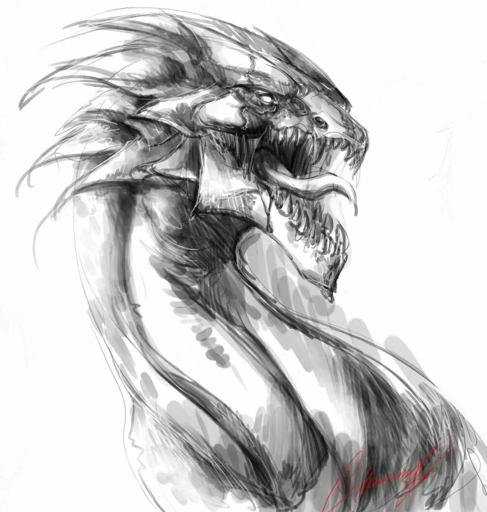 Монстр рисовка. Монстера карандашом. Эскизы чудовищ. Мистические существа карандашом. Голова дракона скетч.