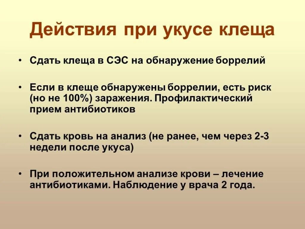 Какие антибиотики принимать при клеще. Алгоритм действий при укусе клеща. Помощь при укусе клеща алгоритм. Алгоритм первой помощи при укусе клеща. Алгоритм при укусе клеща.