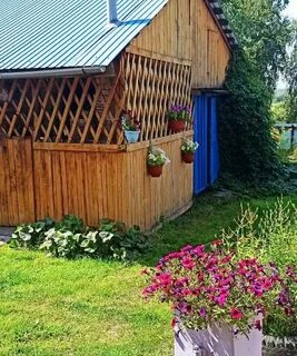Дачи заринск