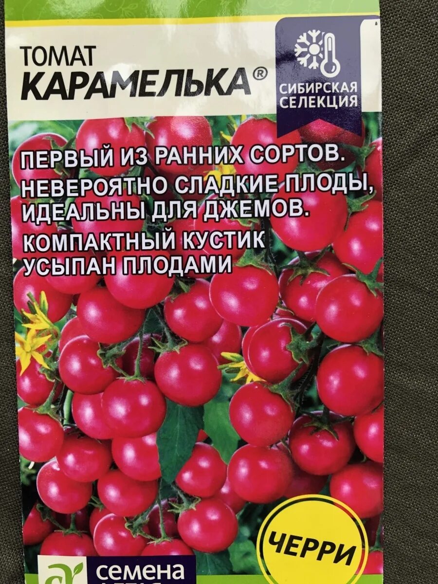 Томат карамель описание. Томат Карамелька семена Алтая. Томат серебристая ель. Томат карамель. Томатинка семена.