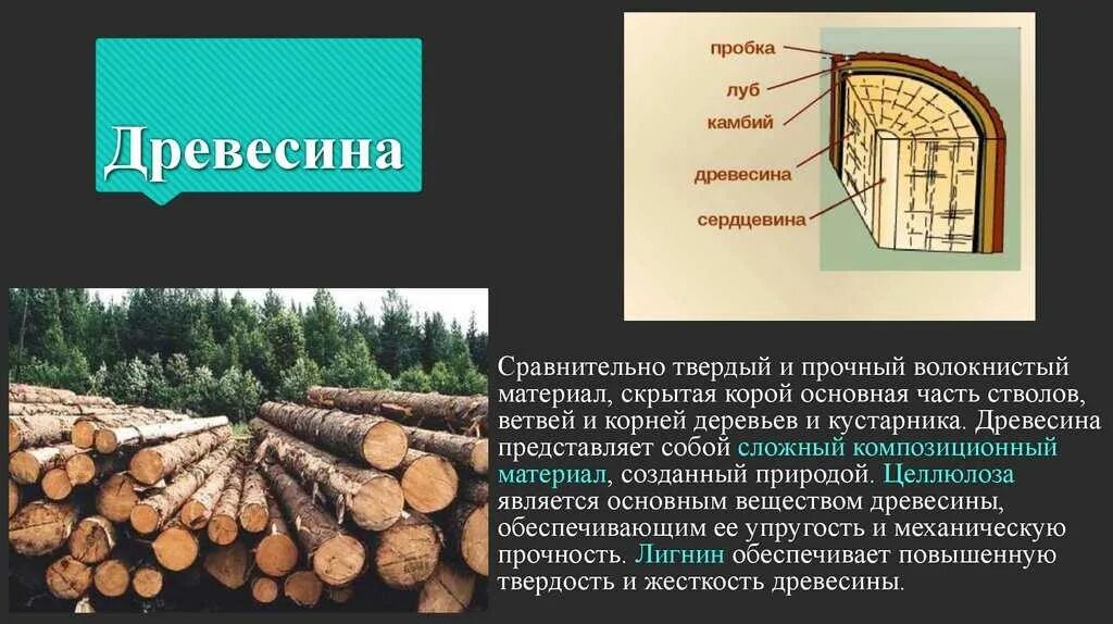 Древесина и древесные материалы. Целлюлоза в древесине. Природные древесные строительные материалы. Древесина как строительный материал. Древесина главное богатство этой зоны