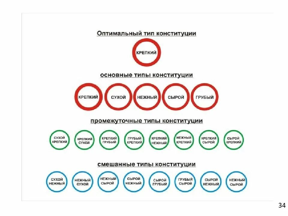 Грубый тип конституции собаки. Сухой тип конституции. Типы конституции у собак. Грубый тип конституции собаки. Конституция собак.