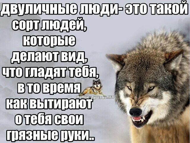 Надо по другому сказать. Статусы про двуличных. Высказывания о двуличных людях. Двуличные люди цитаты. Статусы про двуличных людей.