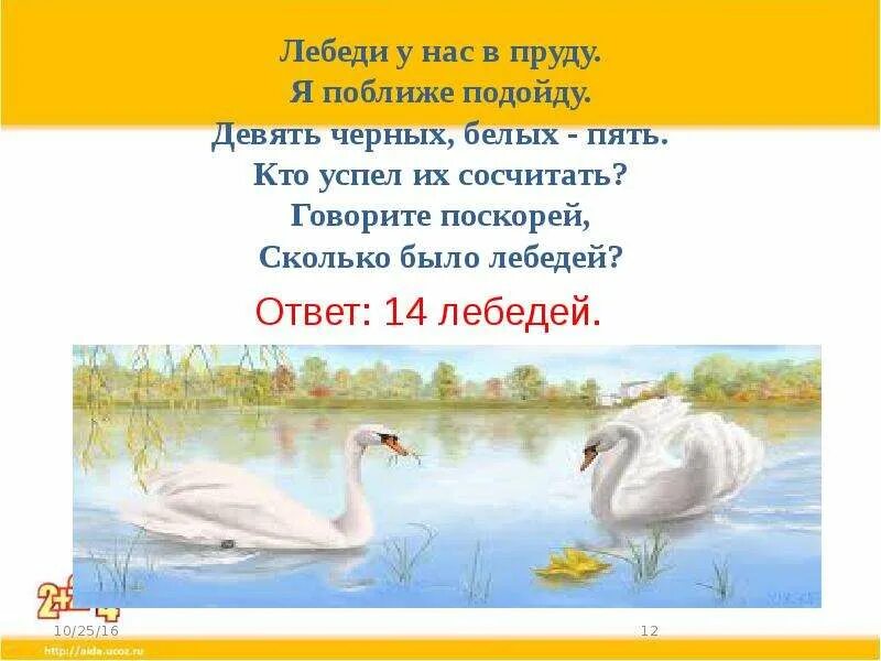 Девушка у пруда с лебедями. Кто написал песню лебедь на пруду. Лесоповал белый лебедь на пруду. Одинокий лебедь плачет. Лесоповал белый лебедь на пруду.