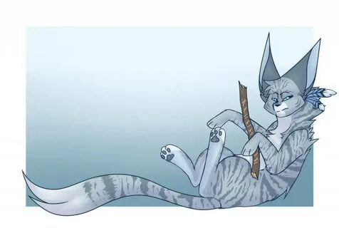 Коты воители воробей
