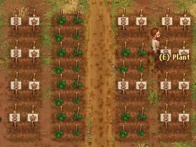 Graveyard keeper где масло. Graveyard keeper масло. graveyard keeper масло для осла. как получить масло в graveyard keeper. кипер игра.