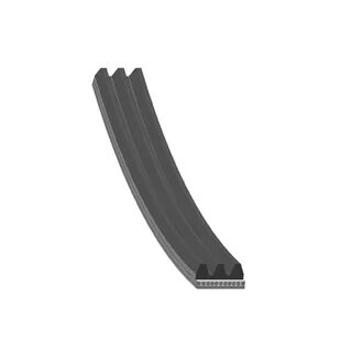 V ribbed