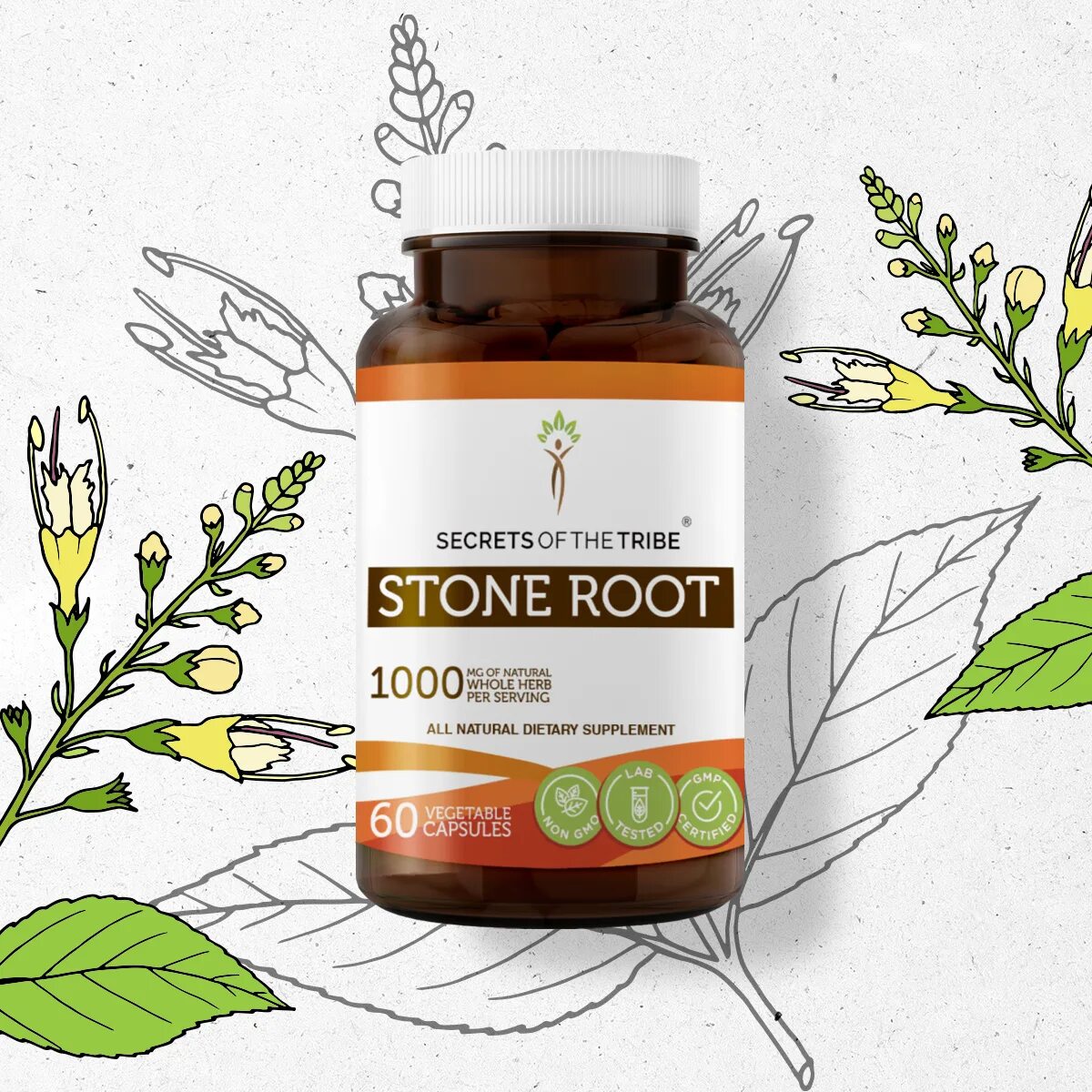 Коллинсония collinsonia канадская canadensis растение. Stone root коллинсония канадская. Collinsonia root. Ginkgo biloba leaf extract. Корень коленсонии канадской в капсулах.