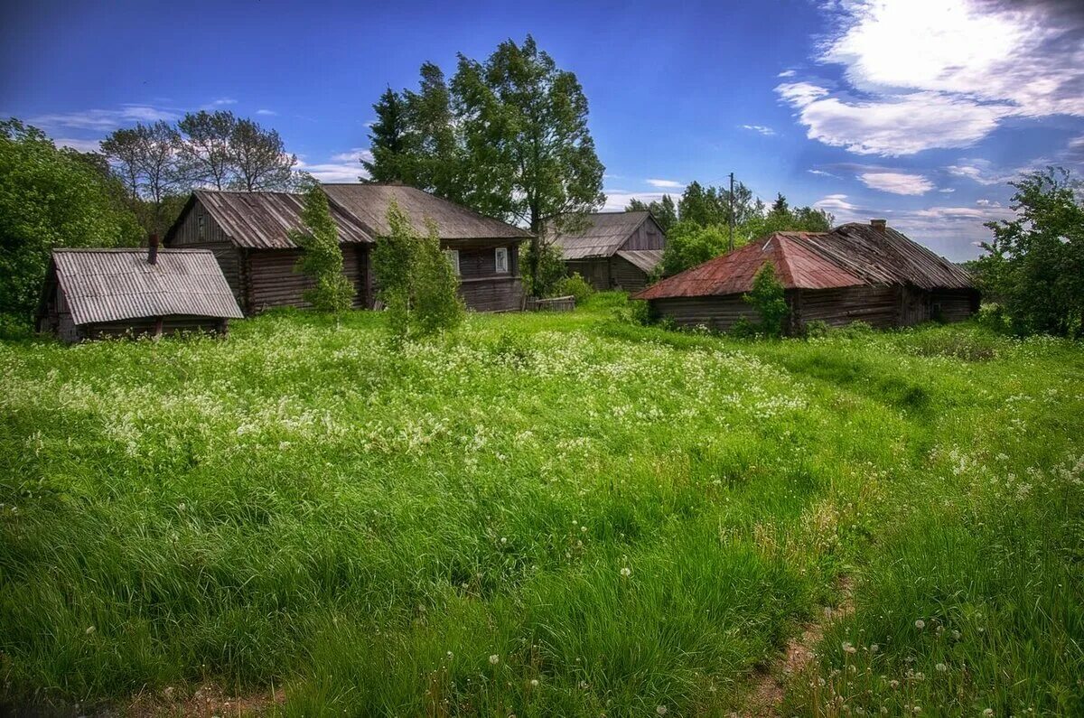 Купить м в деревне. Деревня заводь Краснобаковского района. Деревня. Русская деревня. Лето в деревне.