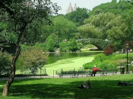 Парка сша