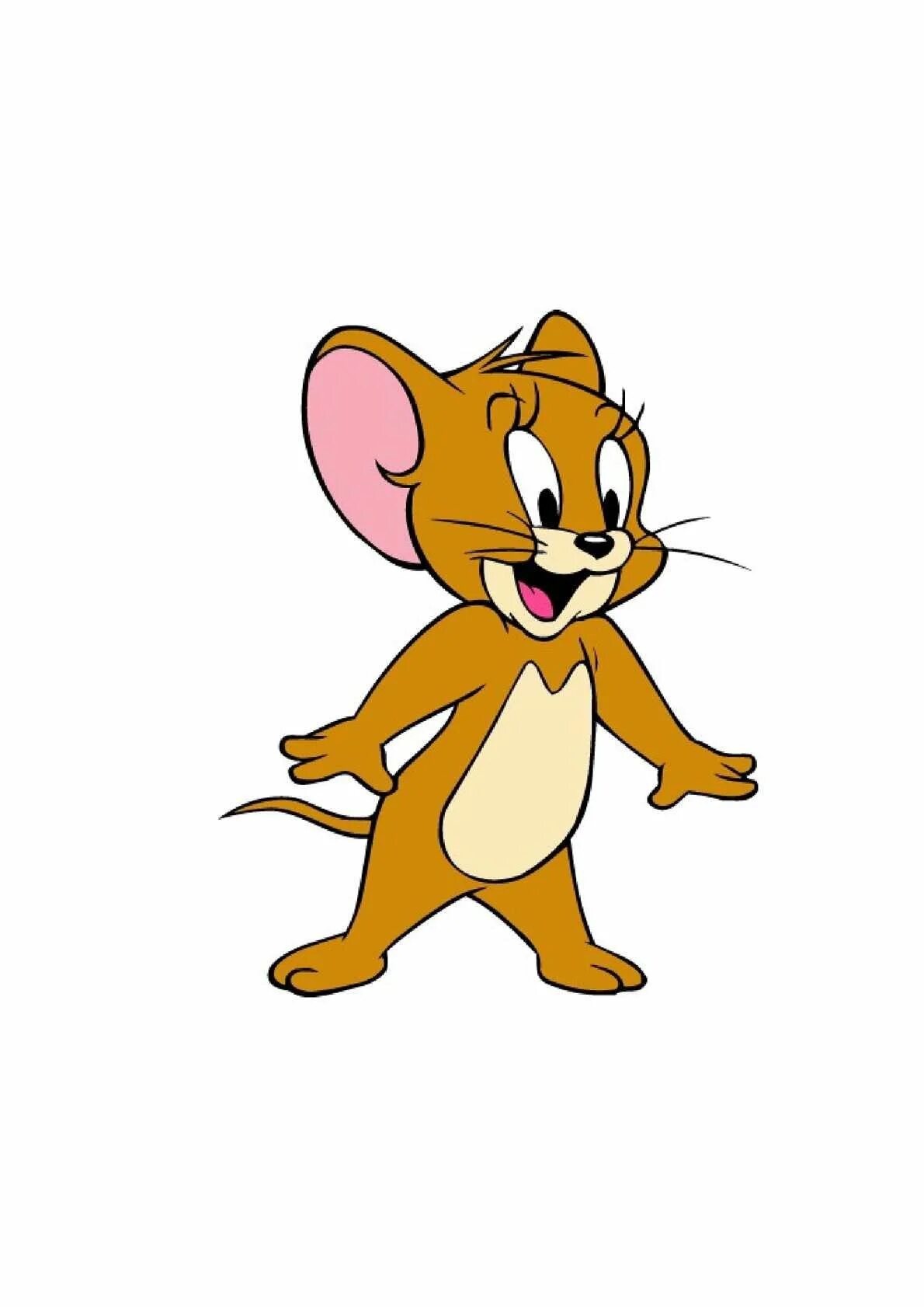 Мышонок джерри персонаж. Джерри мышонок из мультика. Мышка тома. Мышка тома. Мышонок том.