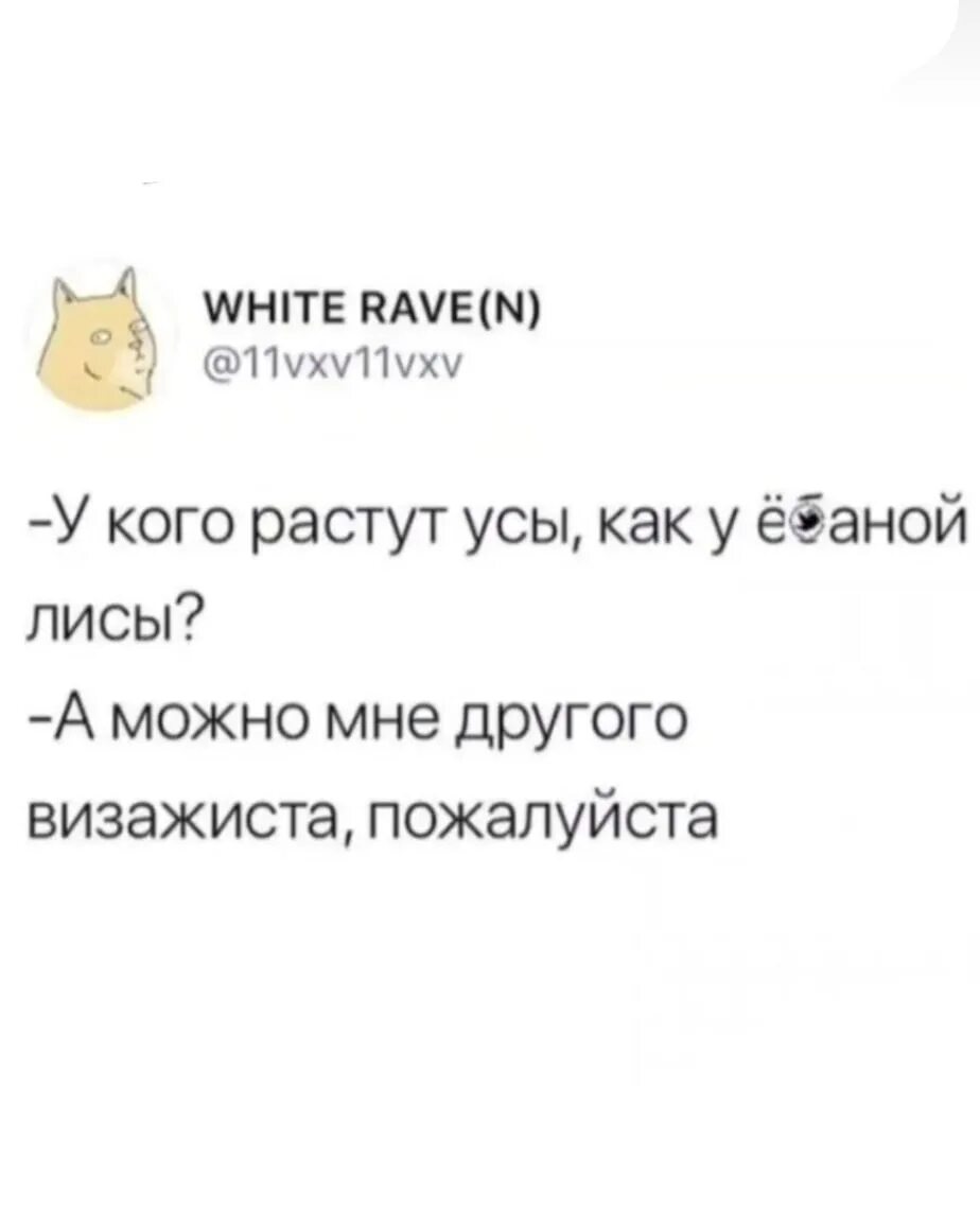 Усы лис. У кого растут усы как у лисы. у кого растут усы как у гребанной. у кого растут усы как у лисы а можно мне другого визажиста. у кого это усы как у ебаной лисы.