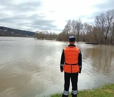 Уровень оки горбатов