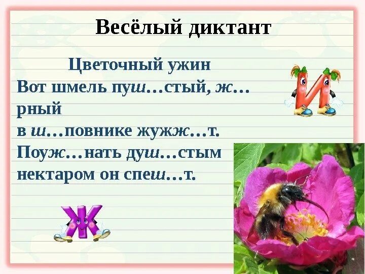 Диктант жи ши 2 класс по русскому. Занимательные задания на жи ши. диктант ча ща чу щу жи ши. диктант 1 класс жи ши. диктант жи ши ча ща чу щу 1 класс.