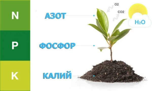 Фосфор и калий в почве. Азот, фосфор, калий, микроэлементы. азот фосфор калий. азот фосфор калий удобрение. азот фосфор калий для растений.