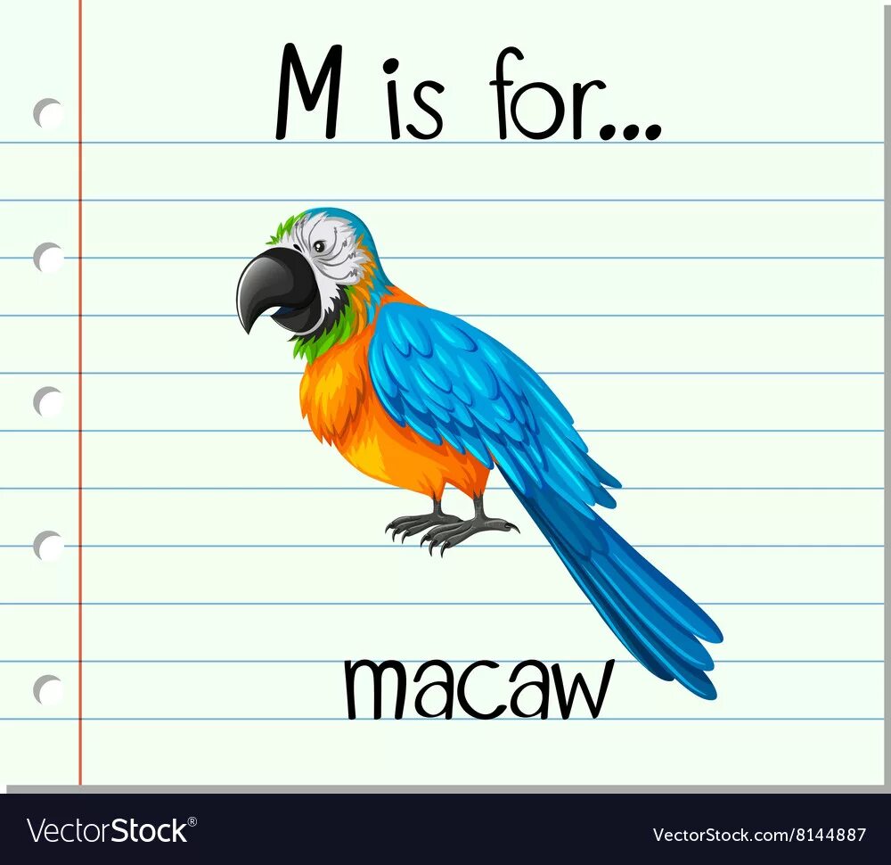P is for. Карточки по английскому попугай. p parrot буква. попугай английскими буквами. letter p is for parrot.