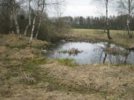 Погода в поварово на 10 дней
