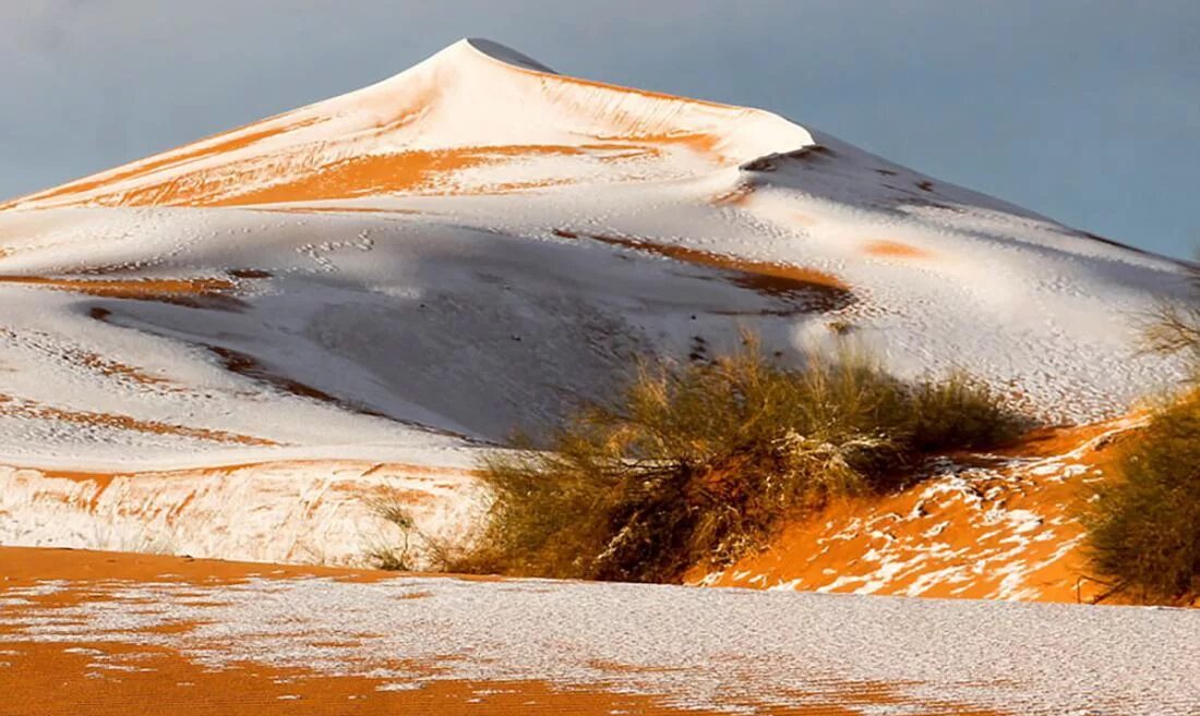 Средняя температура в африке в январе. Какая температура в пустыне ночью. В пустыне сахара выпал снег. Тропические пустыни. Снег в сахаре 1979.
