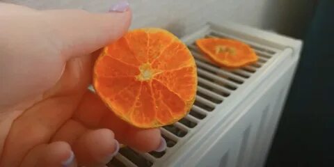 Как высушить апельсин в духовке