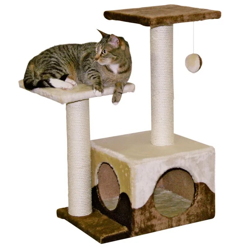 Домик для кошек. Кошачий домик с когтеточкой. Когтеточка для кошек с домиком. Прозрачный домик для кошки.