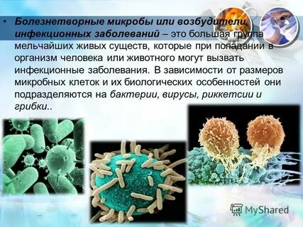 Патогенные вирусы вызывают
