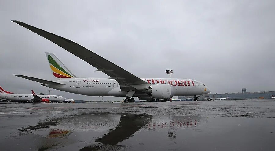 Ethiopian airlines рейс. Эфиопиан Эйрлайнс Домодедово. Ethiopian Airlines в Домодедово. Boeing 787 Jet Ethiopian Airlines. Рейс Москва Аддис Абеба авиакомпания.